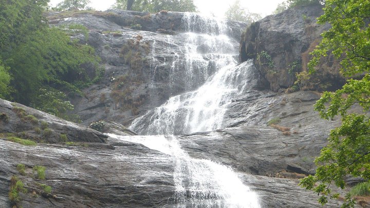 Munnar from Cochin - an Overnight Tour - Image 2