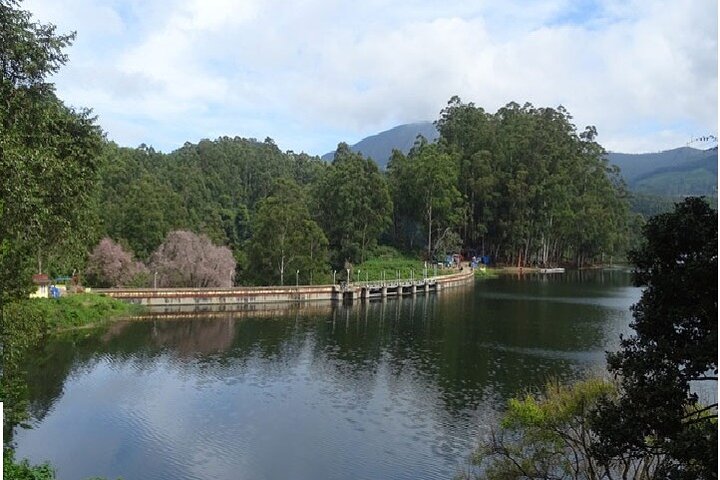 Munnar from Cochin - an Overnight Tour - Image 5