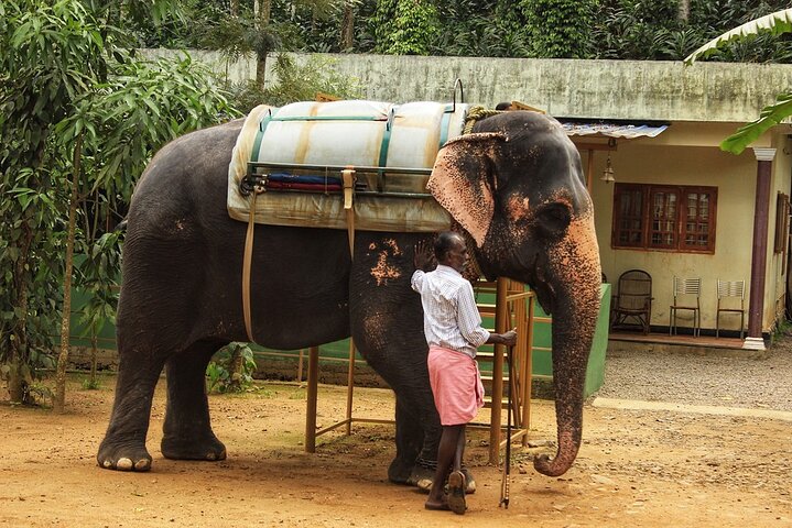 Periyar from Cochin - a Two Day Tour - Image 3