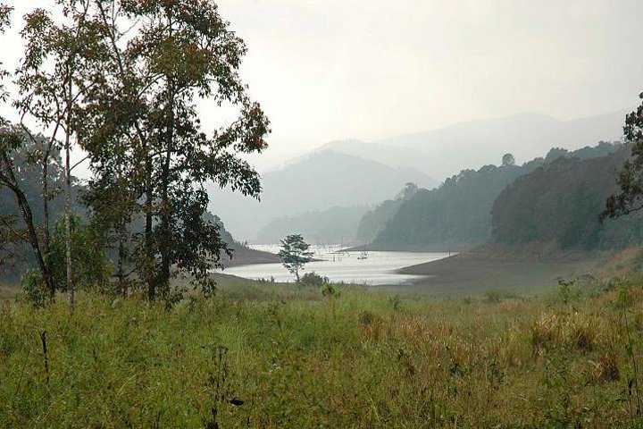 Periyar from Cochin - a Two Day Tour - Image 2