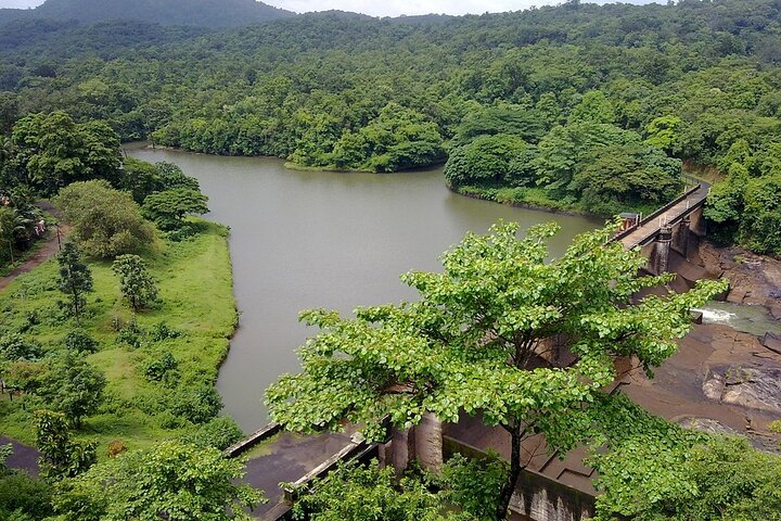 Periyar from Cochin - a Two Day Tour - Image 5