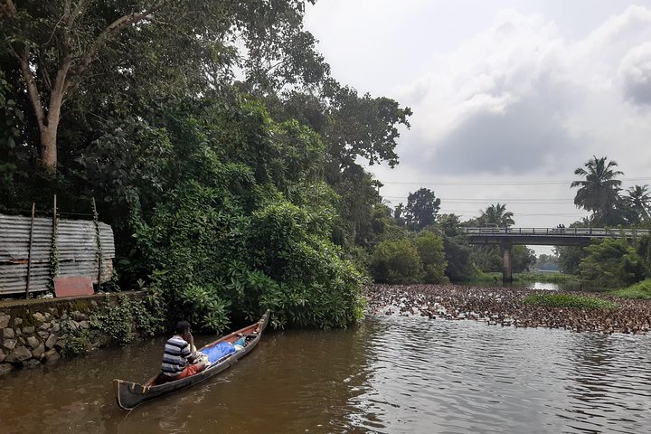 Private Backwater Houseboat Experience - Image 5