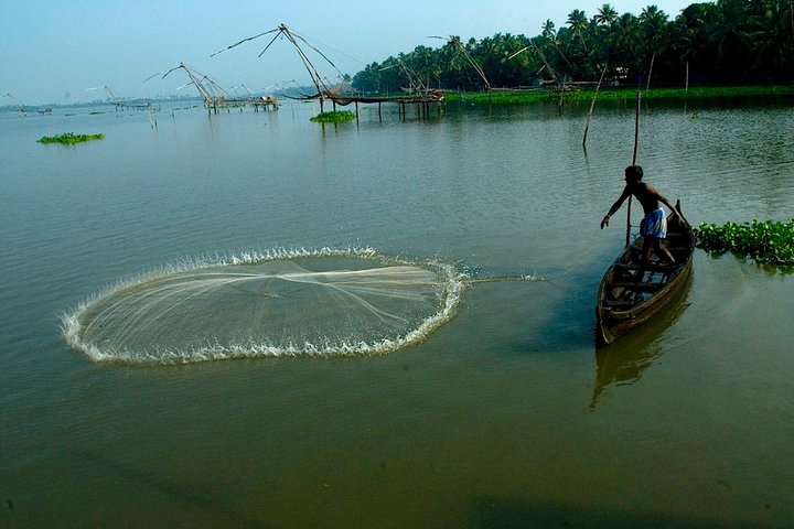 Private Houseboat Backwater Day Cruise tour with Lunch from Cochin - Image 3