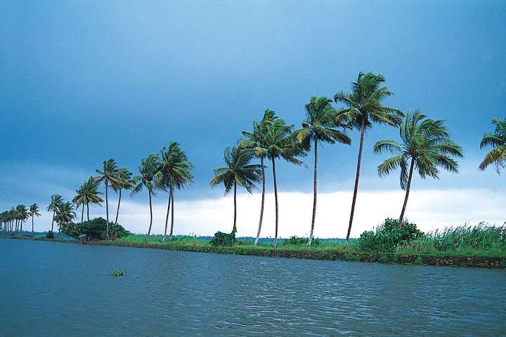 Private Houseboat Backwater Day Cruise tour with Lunch from Cochin - Image 2