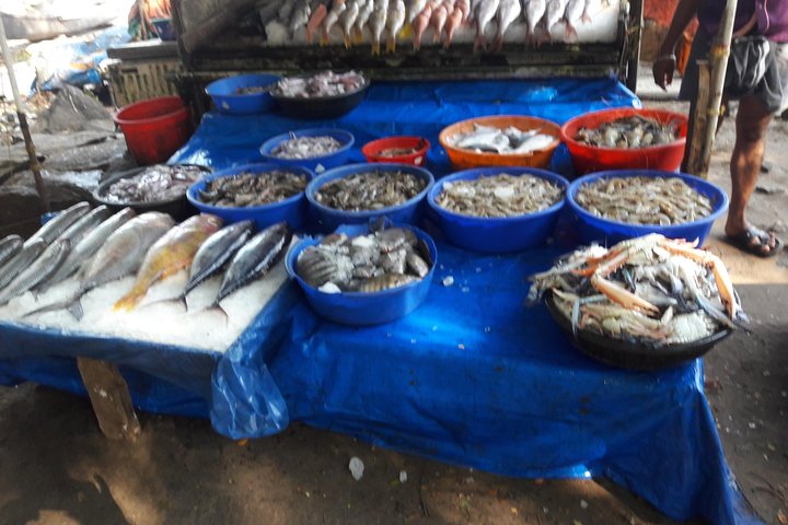 Private / Public Transport / Walking / Tuk Tuk / Tour to Cochin Attractions - Image 5