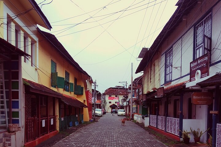 Private Tour : Glimpse of Kochi - Image 5