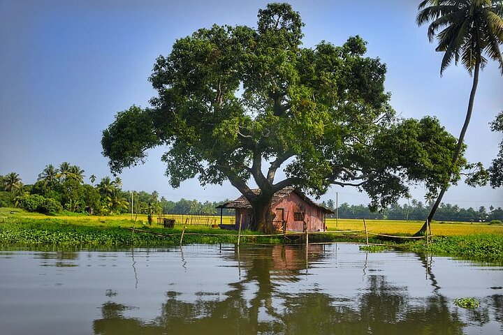 Relax In a Backwaters - A Two-night Excursion From Cochin With Private Transfers - Image 2