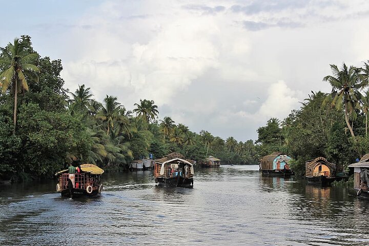 Relax In a Backwaters - A Two-night Excursion From Cochin With Private Transfers - Image 5