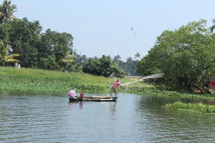Shared Tour of Kerala Backwater Cruise - Image 4