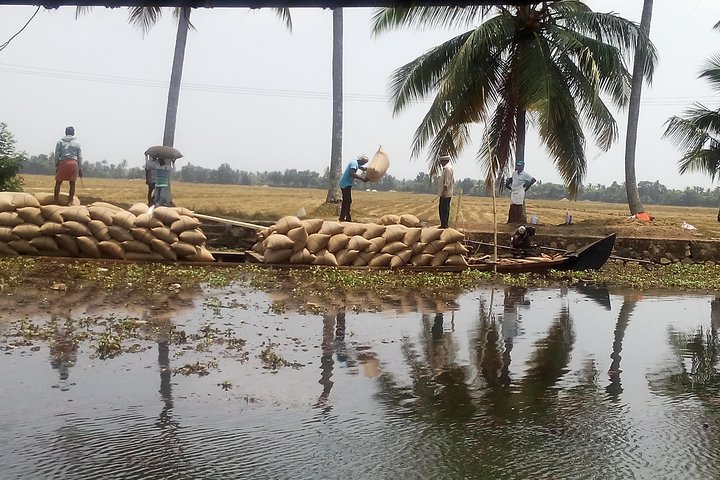 Shared Tour of Kerala Backwater Cruise - Image 5
