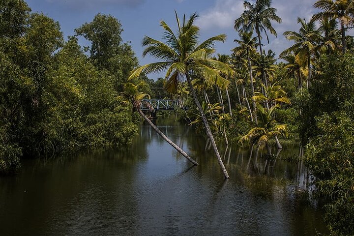 South India Discovery - A Private Eight Day Tour From Cochin To Chennai - Image 5