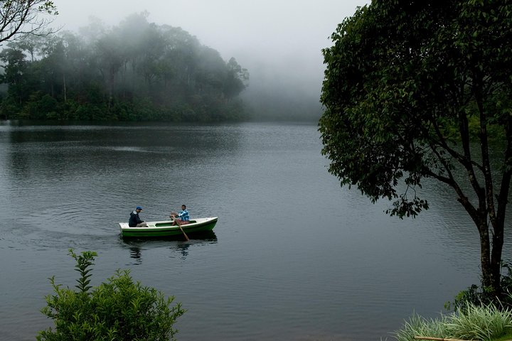 Tour in Quaint Kerala or Cruise in Tranquil Backwaters. - Image 3