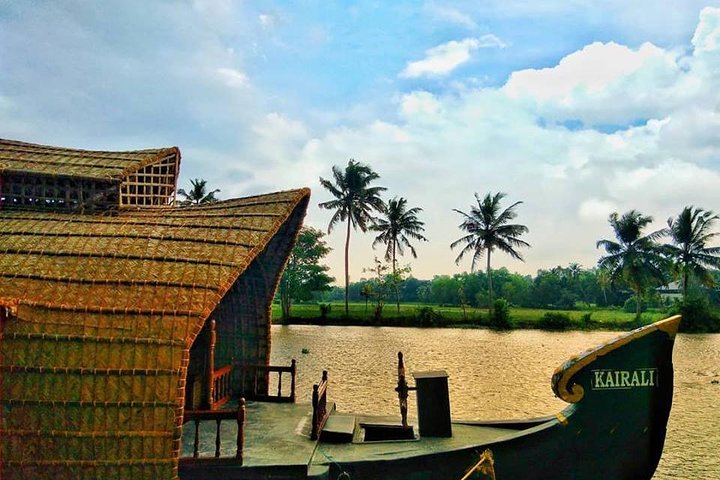 Tour in Quaint Kerala or Cruise in Tranquil Backwaters. - Image 1
