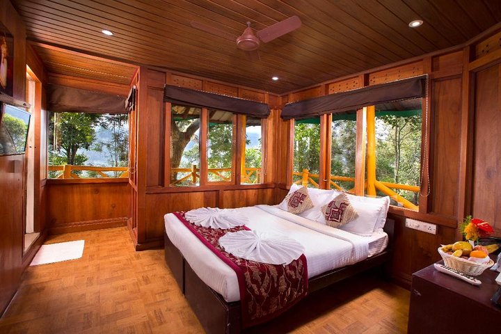 Treehouse stay in munnar - Image 2