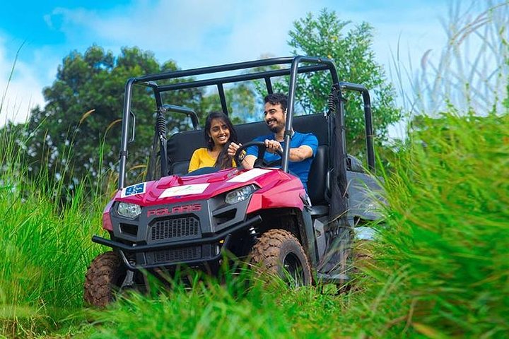 Treehouse stay in munnar - Image 3