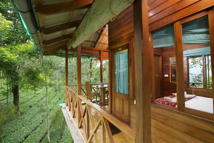 Treehouse stay in munnar - Image 5