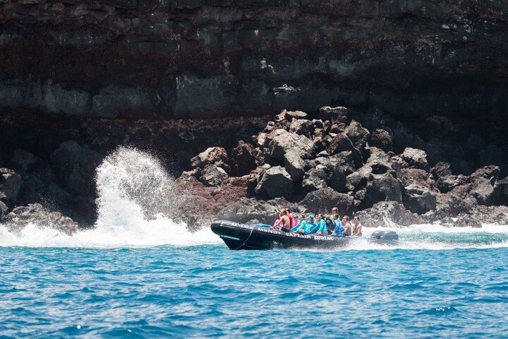 4-Hour Kona Private Charter  - Image 5