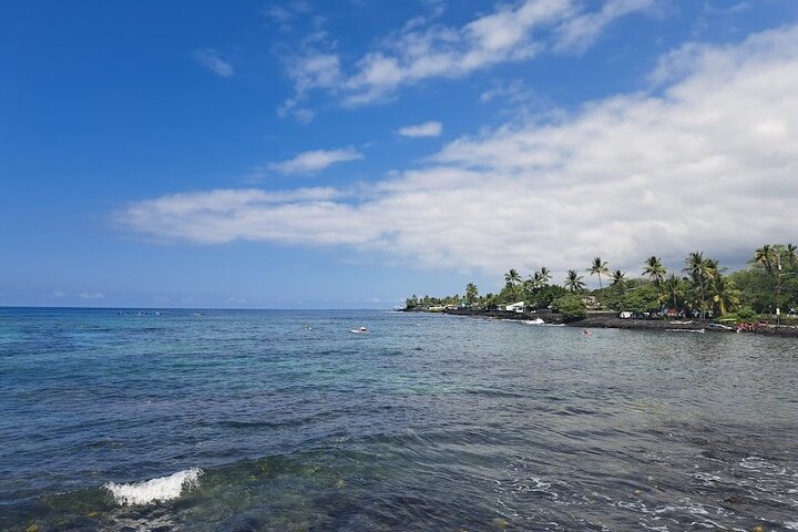 Ali'i Private Tour in Luxury Van - Image 4