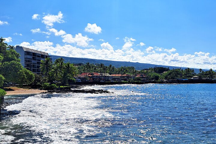 Ali'i Private Tour in Luxury Van - Image 3