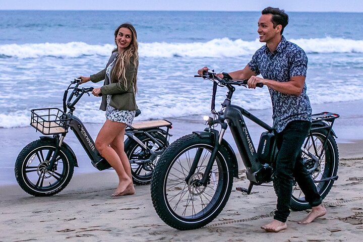 Electric Bike Rentals with Delivery - Image 1