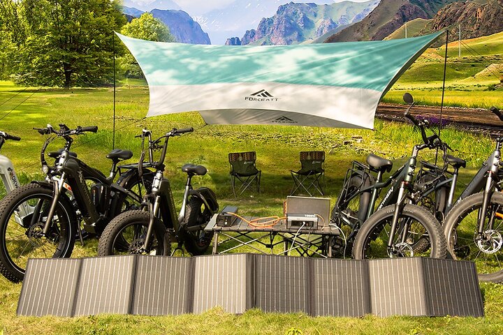 Electric Bike Rentals with Delivery - Image 3
