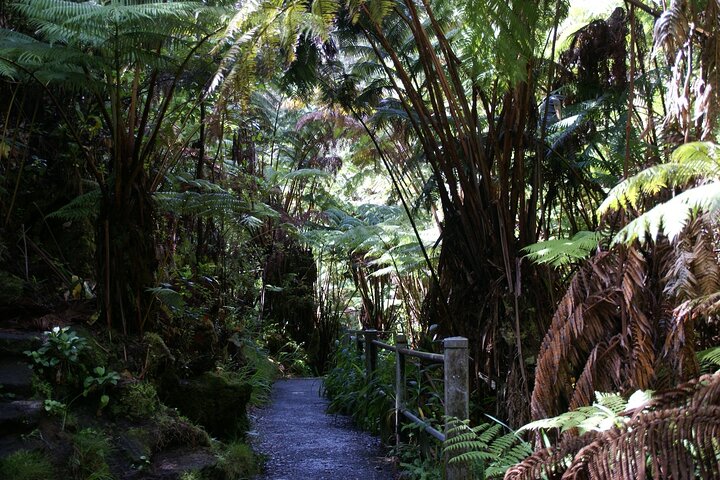 From the Big Island: Hawaii Volcanoes National Park Experience - Image 4