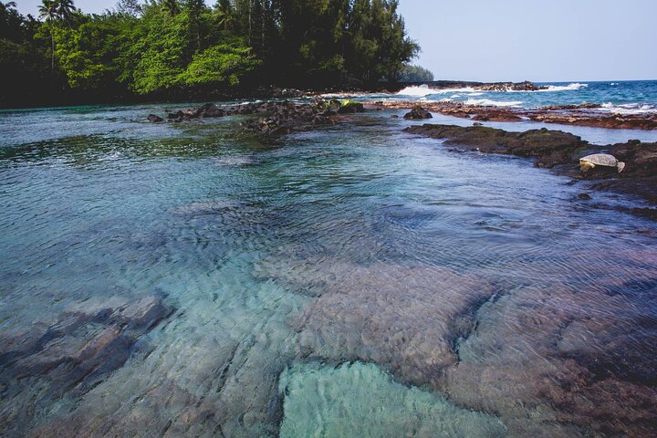 Hāʻena Activity in the district of Puna - Image 4