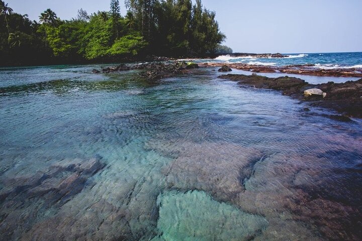 Hāʻena Activity in the district of Puna - Image 2