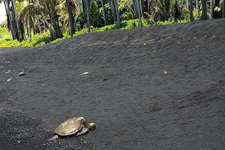 Hawaii Volcanoes National Park Experience from the Big Island - Image 1