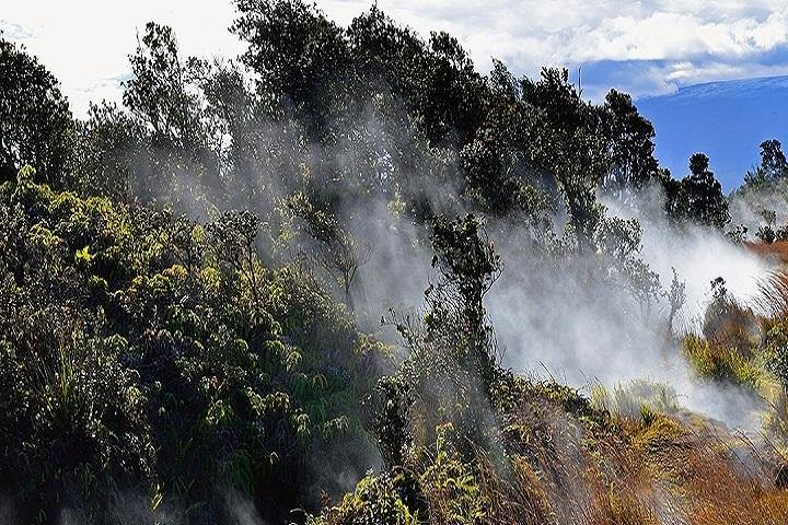 Hawaii Volcanoes National Park Experience from the Big Island - Image 4