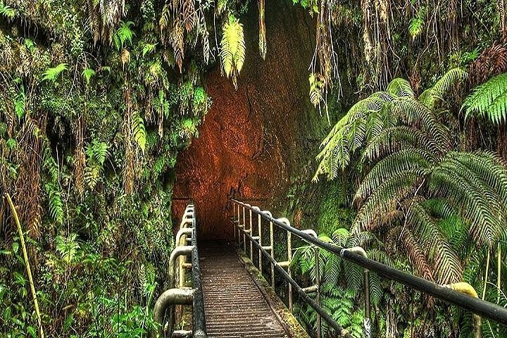 Hawaii Volcanoes National Park Experience from the Big Island - Image 5