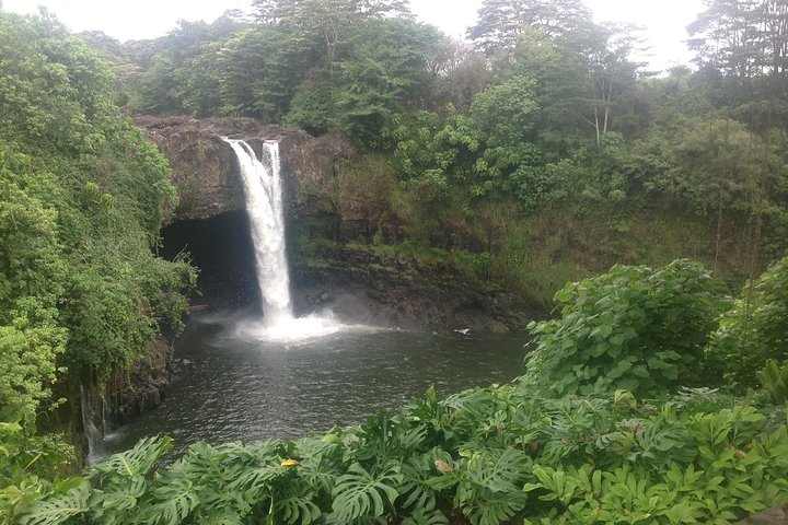 Heavenly Hamakua: From Kona - Image 5