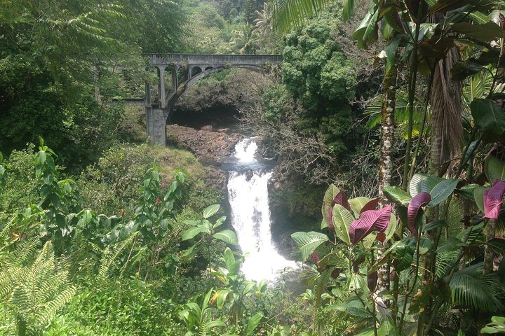 Heavenly Hamakua: From Kona - Image 3