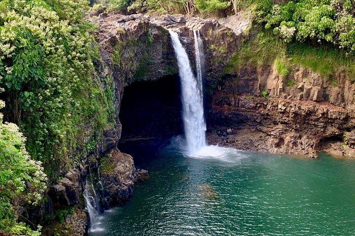 Hilo Shore Excursion: Active Volcano, Lava Tube, Waterfall and Gardens - Image 2