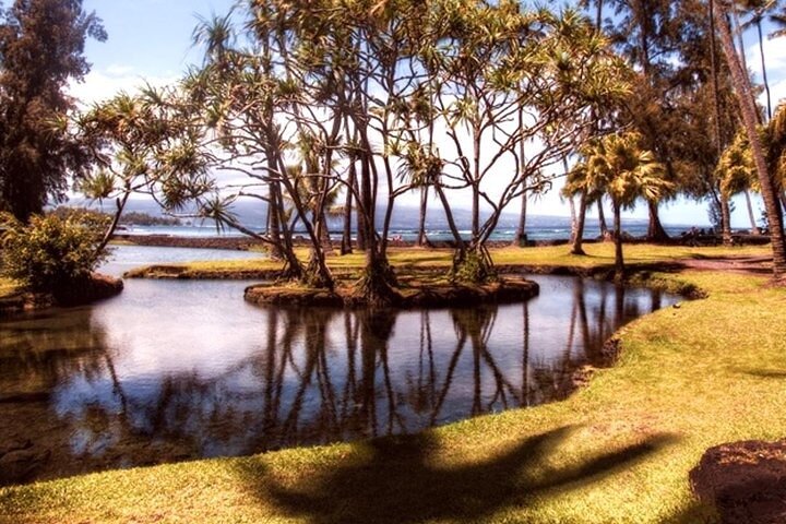 Historical Tour of Hilo Great for Cruise Ships - Image 3