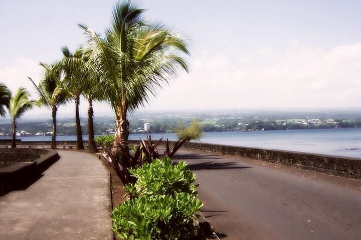 Historical Tour of Hilo Great for Cruise Ships - Image 2