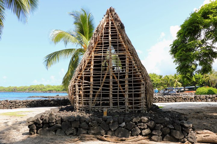 Kona Coast to Place of Refuge Small Group Shore Excursion & Tour - Image 2