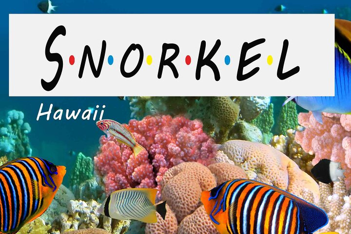 Kona Shore Excursion: Wild Dolphin - Reefs -Sea Caves - (Small Group) - Image 1