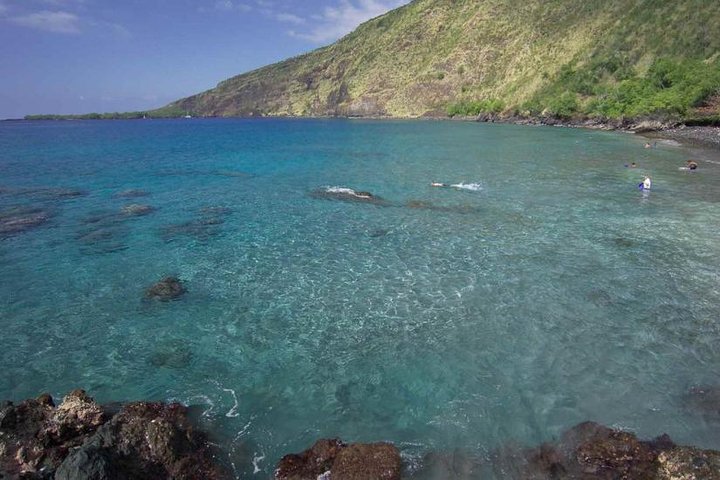 Kona Tour: Coffee Plantation, Kealakekua Bay, Kaloko-Honokohau Park, and Bee Farm - Image 4