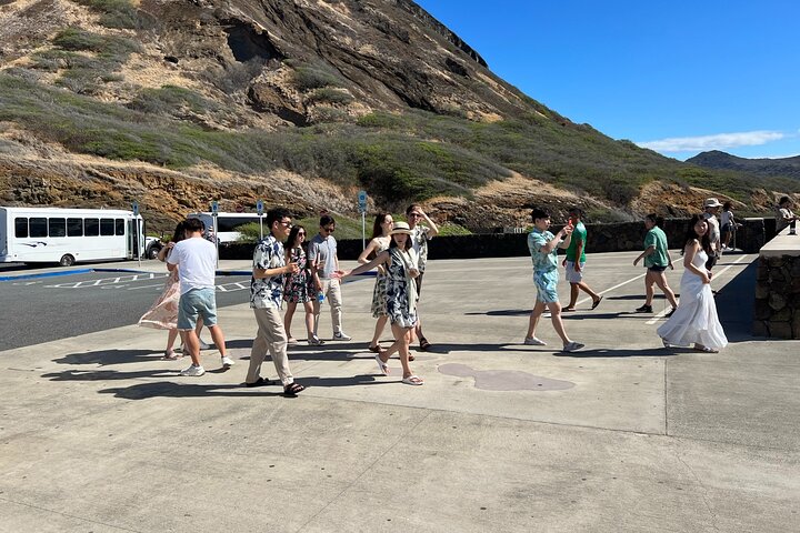 Origamitours |North Shore & Circle Island Tour (Not Private) - Image 2