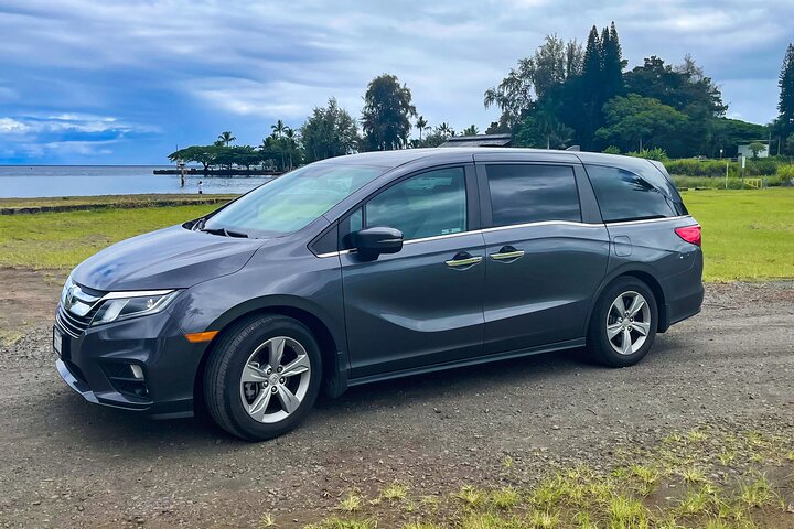 Private Custom Van Full-Day Guided Tour on Big Island of Hawaii - Image 1