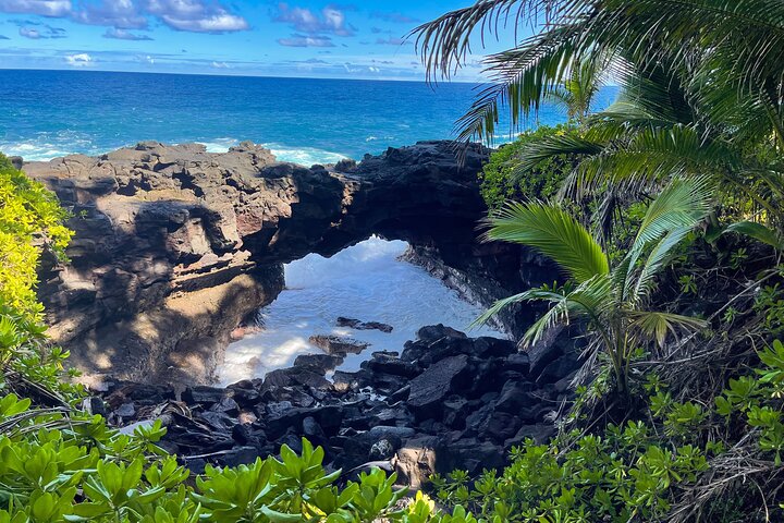 Private Custom Van Full-Day Guided Tour on Big Island of Hawaii - Image 4