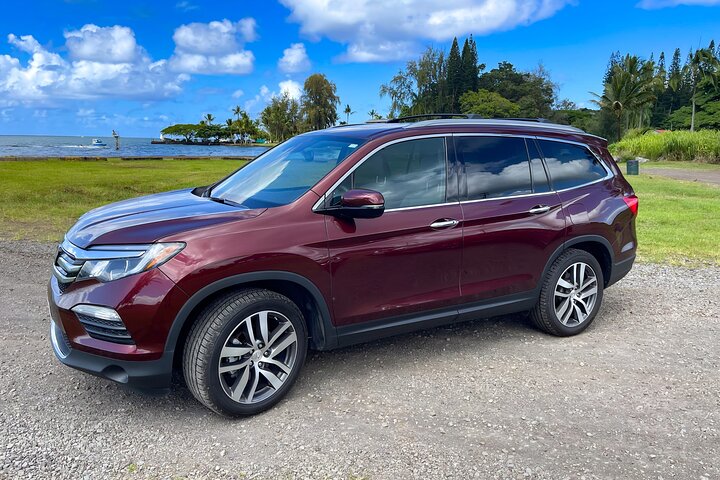 Private Custom Van Full-Day Guided Tour on Big Island of Hawaii - Image 2