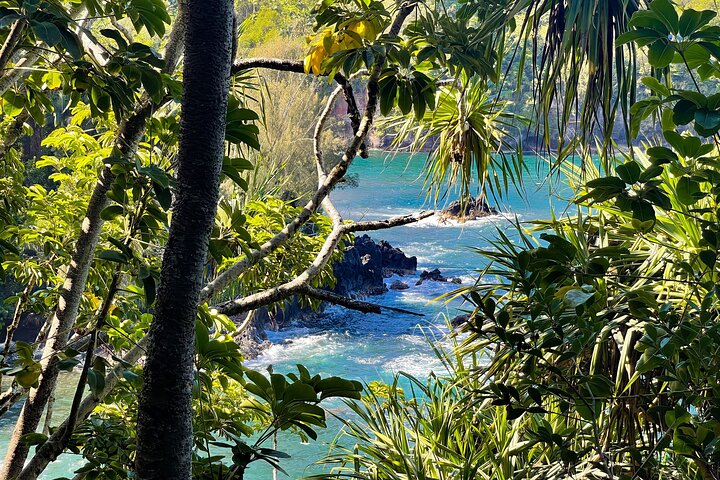 Private Custom Van Full-Day Guided Tour on Big Island of Hawaii - Image 5