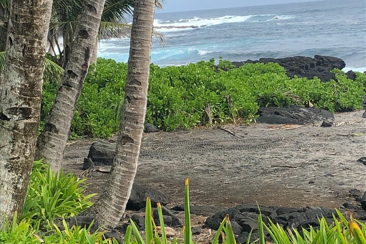 Private Day Tour from Hilo to Puna - Image 1