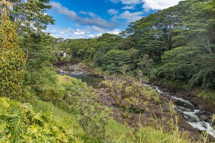 Private Hilo Shore Excursion - Volcanoes and Waterfalls  - Image 4