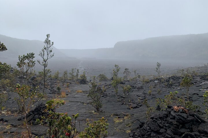 Private Shore Excursion - Volcanoes National Park - Image 1
