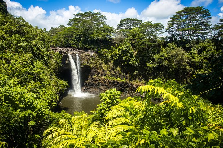 Private VAN Tour Hilo - Image 5