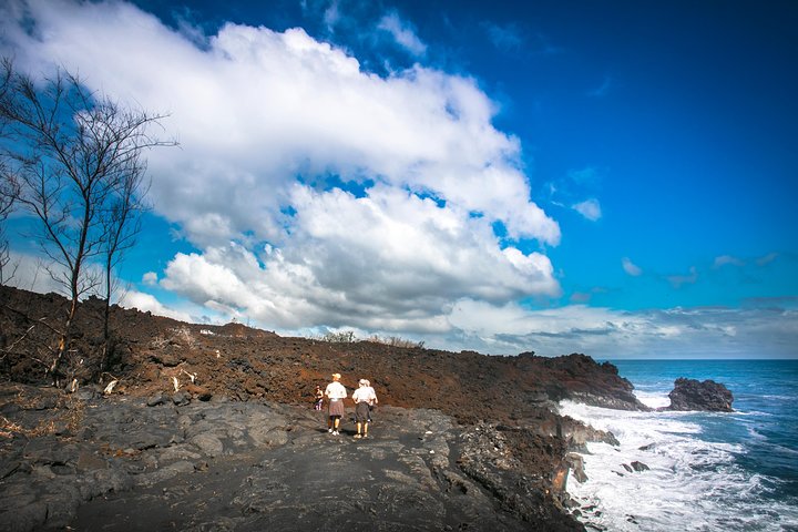 Private VAN Tour Hilo - Image 1