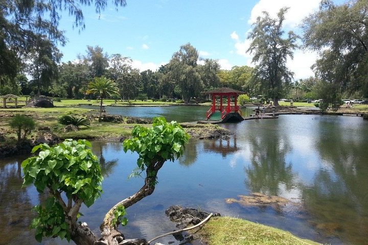 Volcano Adventure Tour & Waterfall - Shore Excursion from Hilo Harbor - Image 4